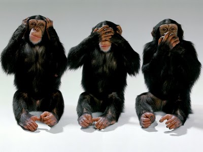 wildlife-monkeys-hear-no-evil-see-no-evil-speak-no-evil.jpg?w=400&h=300